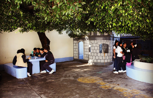 Instituto Cultural de Estudios Superiores del Bosque