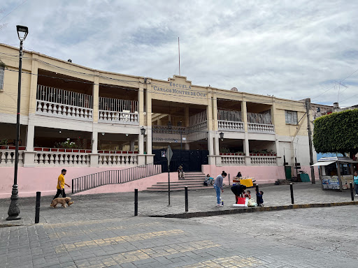 Foto 1 de Escuela Primaria Carlos Montes de Oca