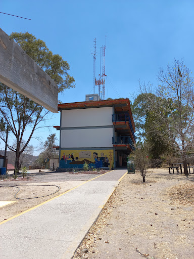 Foto 1 de Preparatoria UDG Tepatitlán Módulo Yahualica