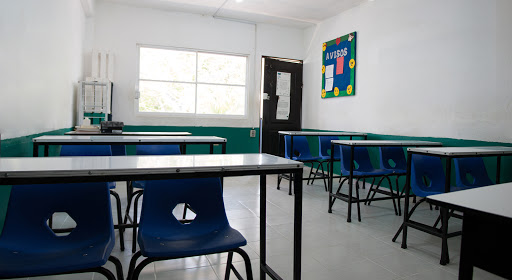 Foto 1 de Colegio Cedros