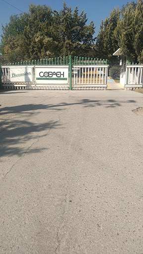 Foto 1 de Colegio de Bachillerato del Estado Hidalgo