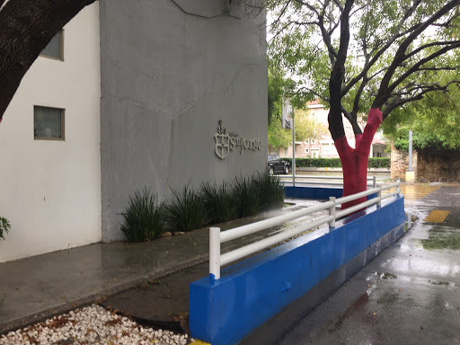 San Jorge School by Colegio San Jorge