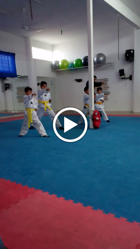 Foto 1 de Academia Koryo de Taekwondo Acatlan de Juarez