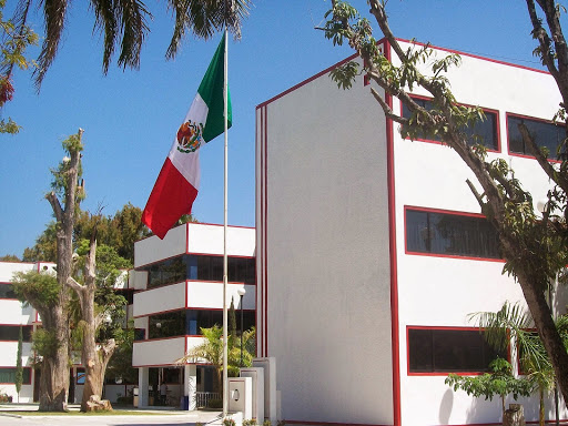 Paulo Freire school S.C.