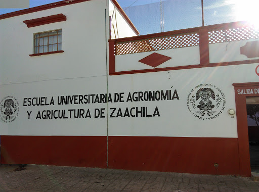 Escuela Universitaria de Agonomía y Agricultura de Zaachila