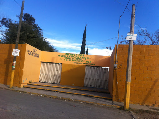 Foto 1 de Primaria Federal Ignacio Zaragoza