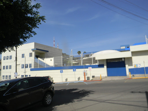 Colegio México