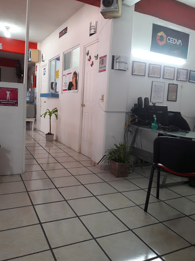 Cedva