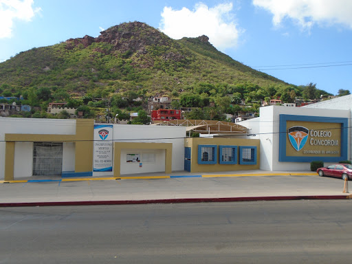 Foto 1 de Colegio Concordia