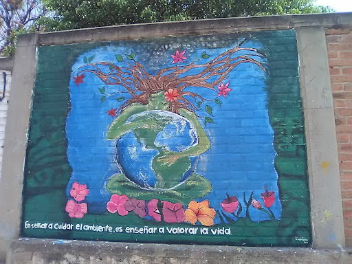 Escuela Primaria Erviro Rafael Salazar Alcazar ( ERSA )