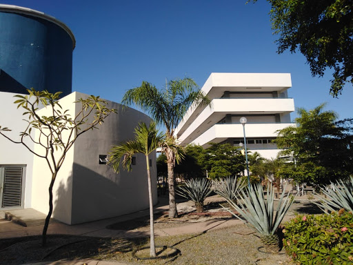 Colegio Sinaloa