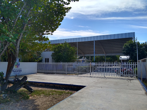 Foto 1 de Colegio de Bachilleres Plantel 2