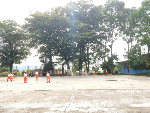 Escuela Primaria Profesor Victorino Trinidad