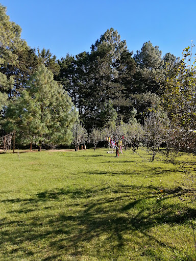 Waldorf Chiapas AC Iniciativa San Cristóbal