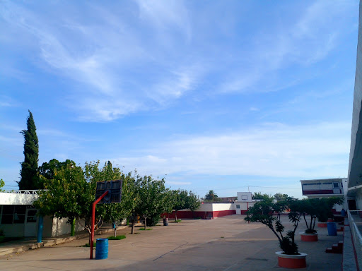 Instituto Amado Nervo