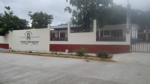 Foto 1 de Escuela Primaria Gregorio Torres Quintero