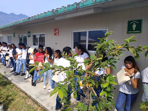 Foto 1 de Escuela Preparatoria del Estado Ignacio Manuel Altamirano