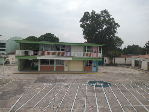 Elementary school "Alfredo del Mazo Velez"