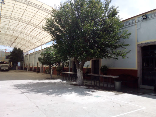 Esuela Primaria Francisco Garcia Salinas( TIPO