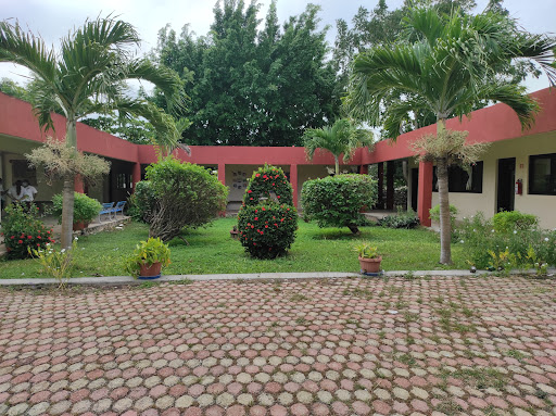 Foto 1 de Escuela Jeanne de Matel