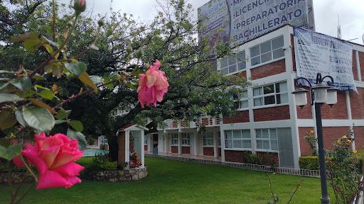 Colegio Mexiquense