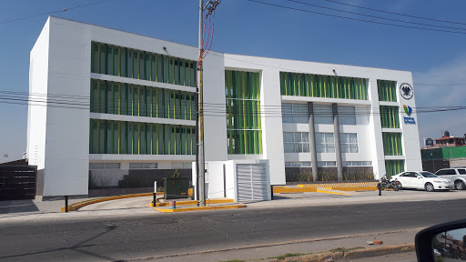 Innova Schools Coacalco | Escuela Particular Bilingüe