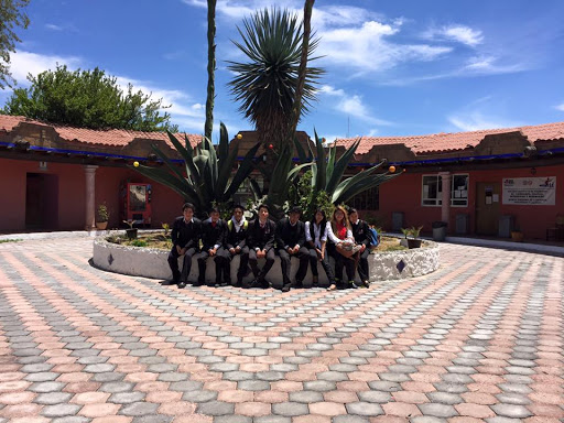 Escuela Lerma Liberatec Montessori
