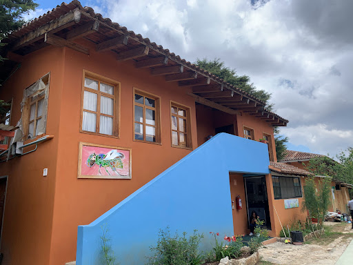 El Colegio de Frontera Sur