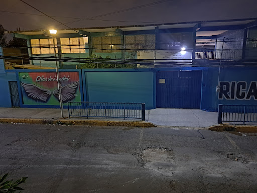 State Primary School Ricardo Flores Magon