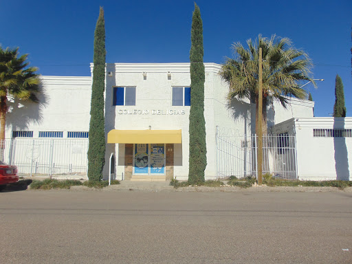 Colegio Delicias