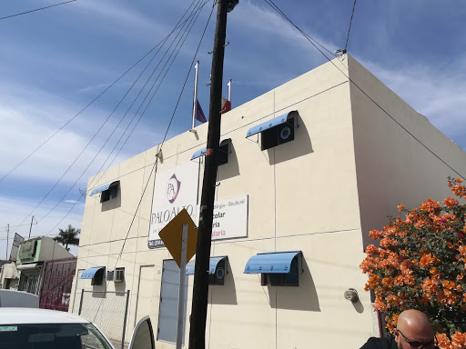 Palo Alto Escuela Americana