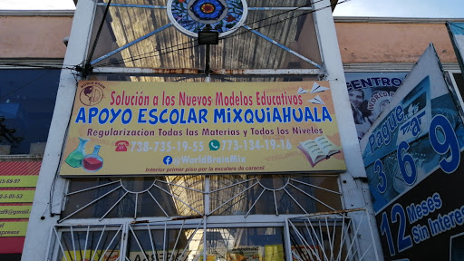 Foto 1 de WORLD BRAIN MIXQUIAHUALA