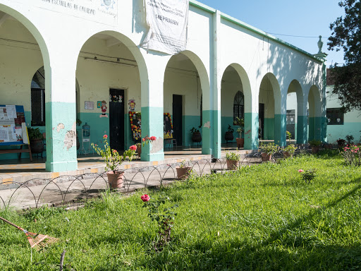 Escuela Urbana 365