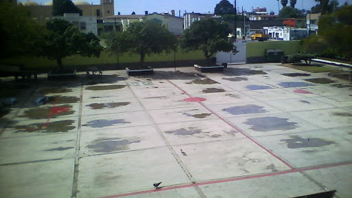Colegio Fray Junipero Serra