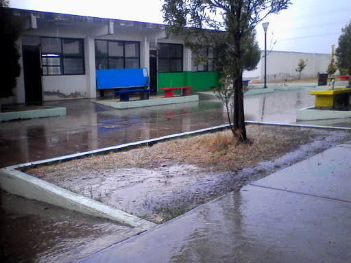 Primaria Libertad Calimaya