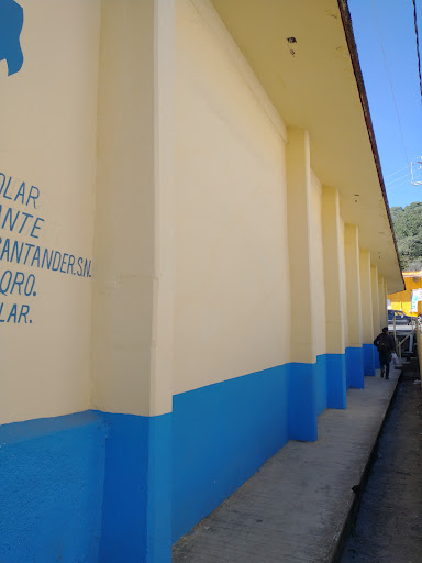 Foto 1 de Primaria Fray Pedro De Gante