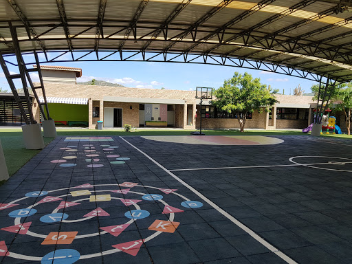 Foto 1 de Delmar International School