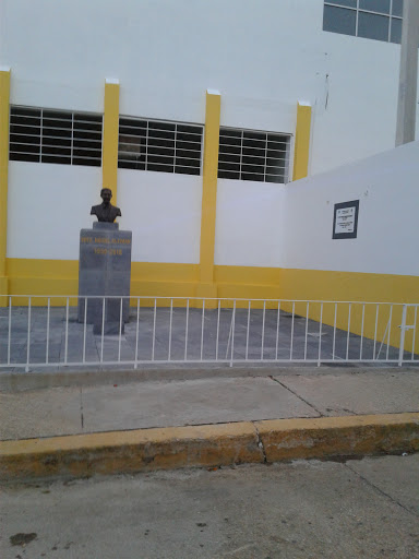 Escuela Primaria Presidente Miguel Aleman