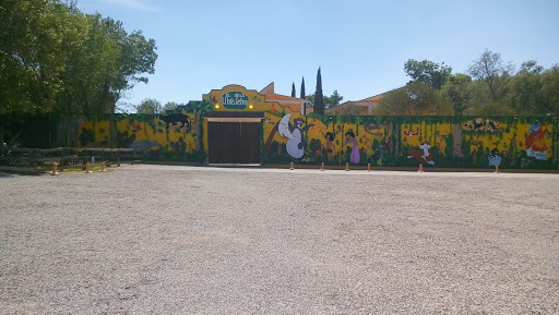 Foto 1 de Colegio Felipe Carbajal Arcia