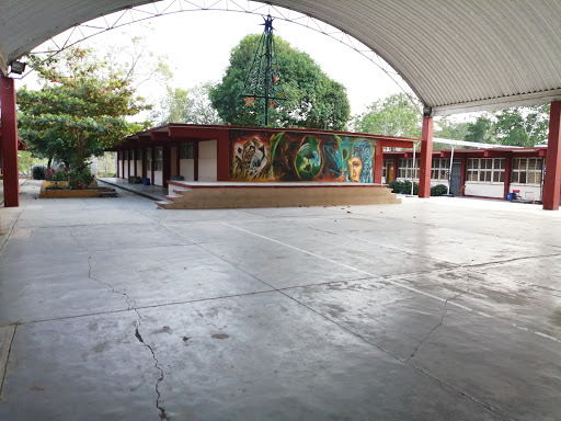 Foto 1 de Secundaria Tecnica Agropecuaria Num. 60