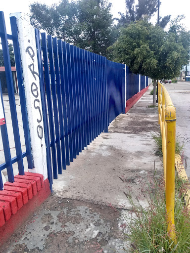 Secundaria Tecnica de Tlacolula