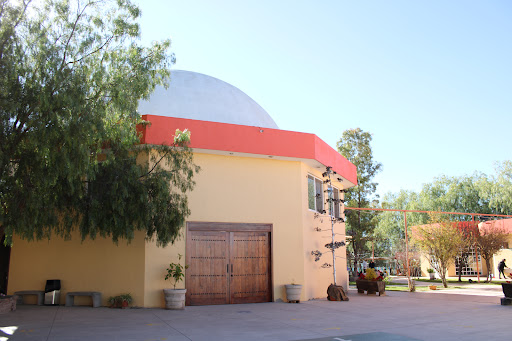 Foto 1 de Colegio Steiner