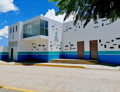 Foto 1 de Instituto Rodolfo Morales