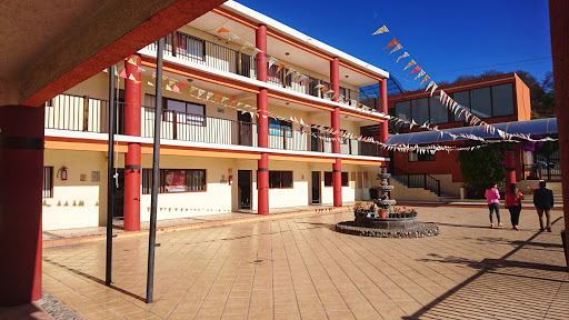 The Great Hill School