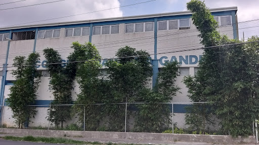 Colegio Mahatma Gandhi Tonalá