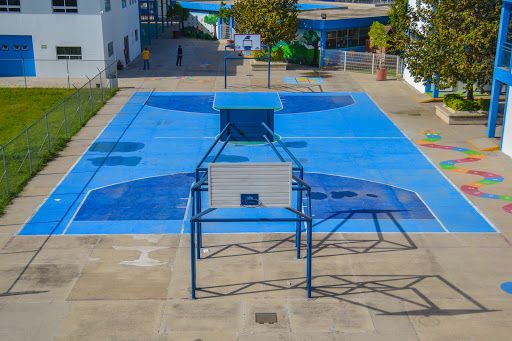 Instituto Alejandro Magno