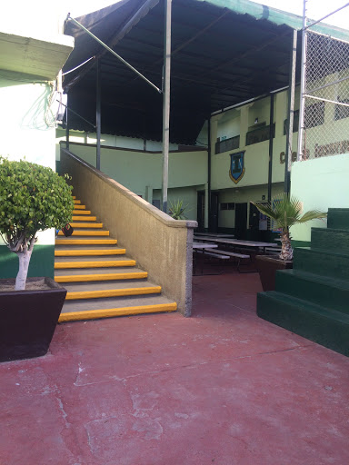 Colegio Insurgentes