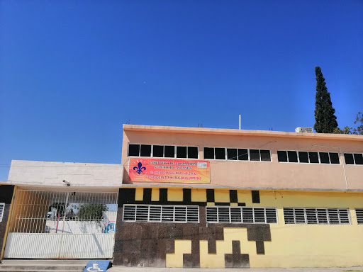INSTITUTO DE EDUCACIÓN SUPERIOR CASTAÑOS