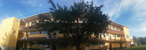 ICEM school. CULTURAL INSTITUTE OF BUSINESS MEXICO