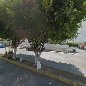Foto 1 de Escuela Primaria Federal Beatriz Velasco de Alemán